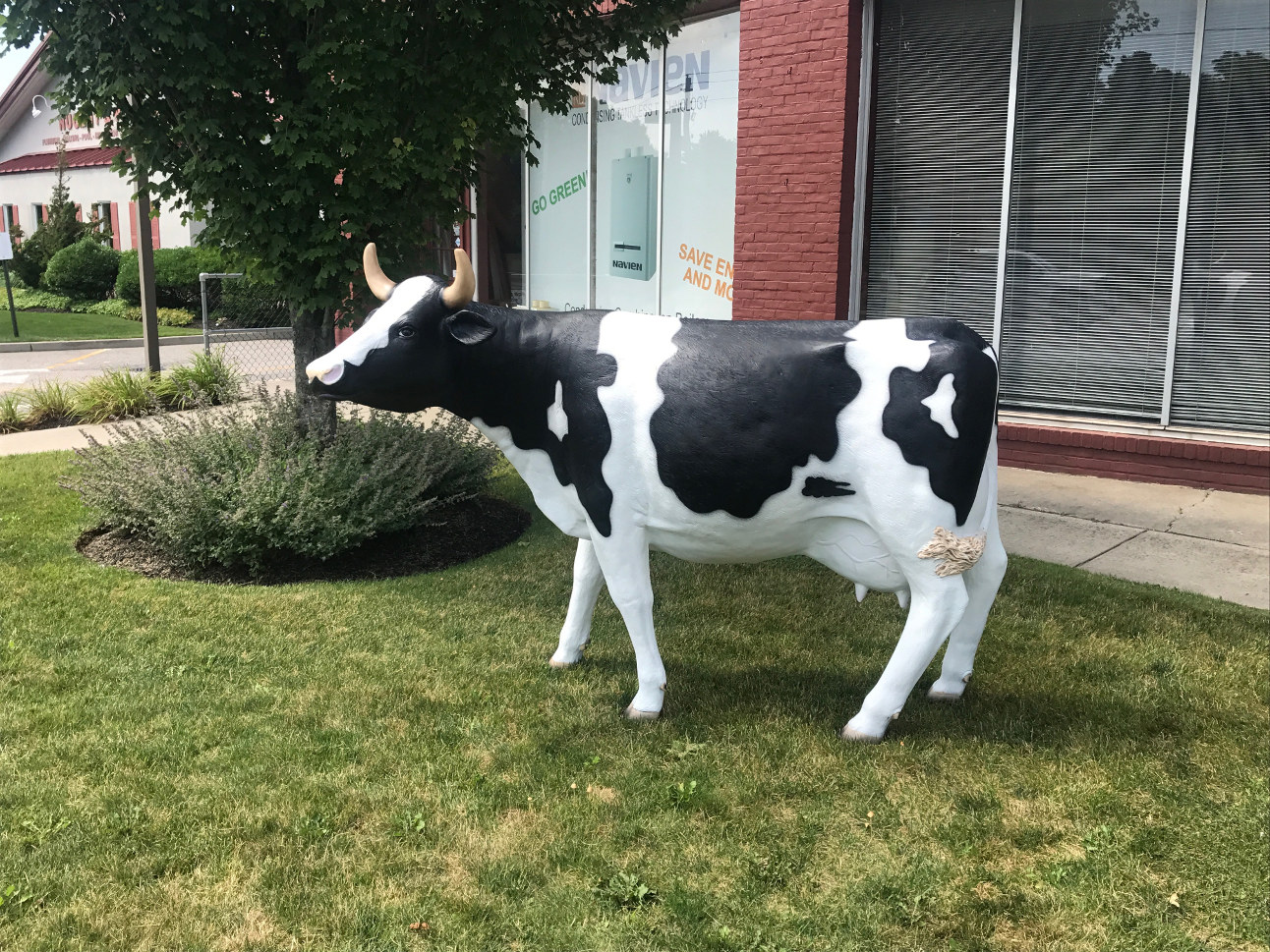 Cow Life Sized
