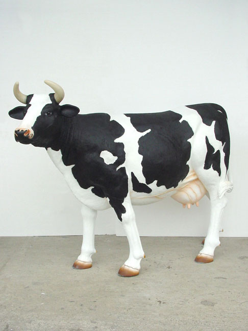 Black & White Cow - Head Up